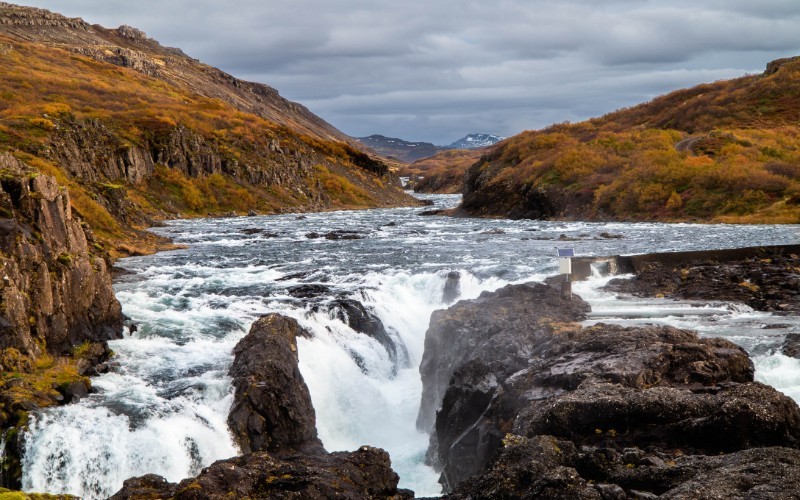 Jour 6 : Laugar Sælingsdalur - Borgarfjörður – Reykjavík