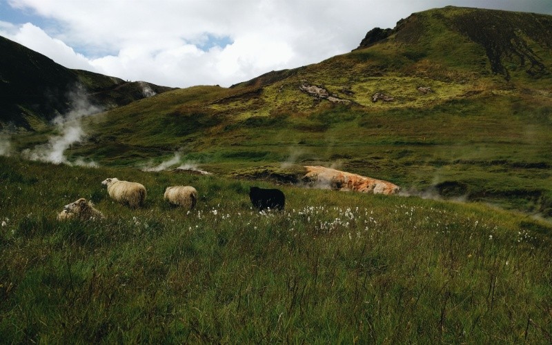 Jour 1 : Arrivée en Islande – Hveragerði